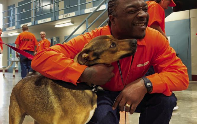 Prison dog program gives unwanted animals ‘a new leash on life’. Photo courtesy of Oklahoma Dept. of Corrections
